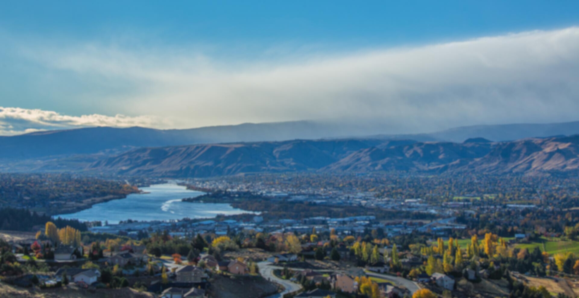 About Freedom Pest Control